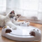 Auto-rotating Mouse Turntable Intelligent Electric Play Disc Toy - Image 5