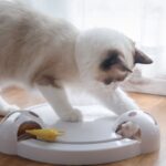 Auto-rotating Mouse Turntable Intelligent Electric Play Disc Toy - Image 2