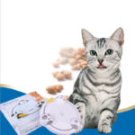 Interactive Mouse Pounce Durable And Fun Cat Toy - Image 5