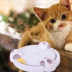 Interactive Mouse Pounce Durable And Fun Cat Toy - Image 6