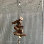 Parrot Vine Solid Wood Molar String With Bell