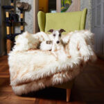 Dog Bed  Machine Washable And Waterproof Couch Bed, White With Brown Accents - Image 6