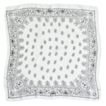 Women's Paisley 70cm Professional Scarf - Image 5