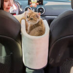 Car Pet Mat, Dog House, Four Seasons General Cat House, Pet House - Image 5