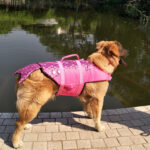 Pet Life Jacket Shark Mermaid Swimsuit - Image 3