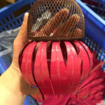 Garden Petal Shape Bird Feeder - Image 8