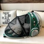 Expansion Cat Bag Space Pet Cabin Bag Out Portable Shoulders Breathable Transparent Pet Backpack - Image 5