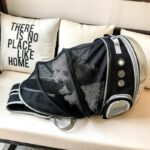 Expansion Cat Bag Space Pet Cabin Bag Out Portable Shoulders Breathable Transparent Pet Backpack - Image 6