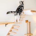 Cat Wooden Wall Hanging Ladder Pine Springboard Stairs Cat Toy Multi-layer - Image 5