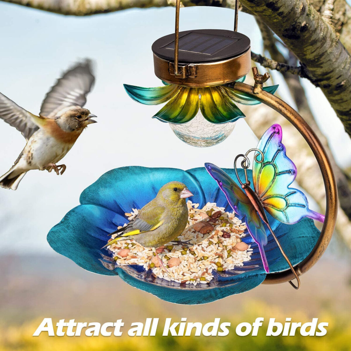 Solar Crack Ball Bird Feeder - Image 1