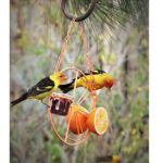Simple Outdoor Bird Feeding And Water Feeding - Image 2