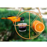 Simple Outdoor Bird Feeding And Water Feeding - Image 5