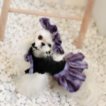 Dog Spring And Summer Cat Lace Dress Jk Plaid Big Bow Pleated Dress - Image 3