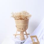 Gypsophila Dried Flower Bouquet Air-dried Real Flower Living Room Decoration - Image 7