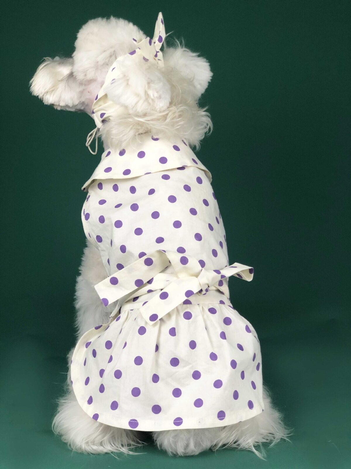 Dog Clothes Summer Thin Small Dog Cute Princess Dress Teddy Schnauzer Corgi Cat Pet Outfit - Image 3