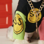 Dog Sweater Autumn And Winter Clothes Teddy Schnauzer Pomeranian Bichon Bulldog Cat Pet Knitwear Trendy Dog Clothes - Image 5