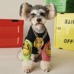 Dog Sweater Autumn And Winter Clothes Teddy Schnauzer Pomeranian Bichon Bulldog Cat Pet Knitwear Trendy Dog Clothes - Image 3