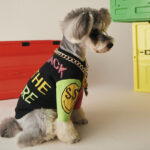 Dog Sweater Autumn And Winter Clothes Teddy Schnauzer Pomeranian Bichon Bulldog Cat Pet Knitwear Trendy Dog Clothes - Image 2