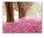 Color By Number Love Tree Landscape Modular Canvas Oil Painting - Image 2