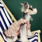 Dog Clothes Summer Thin Small Dog Dress Pet Clothes - Image 2