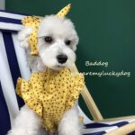 Dog Clothes Summer Thin Small Dog Dress Pet Clothes - Image 3