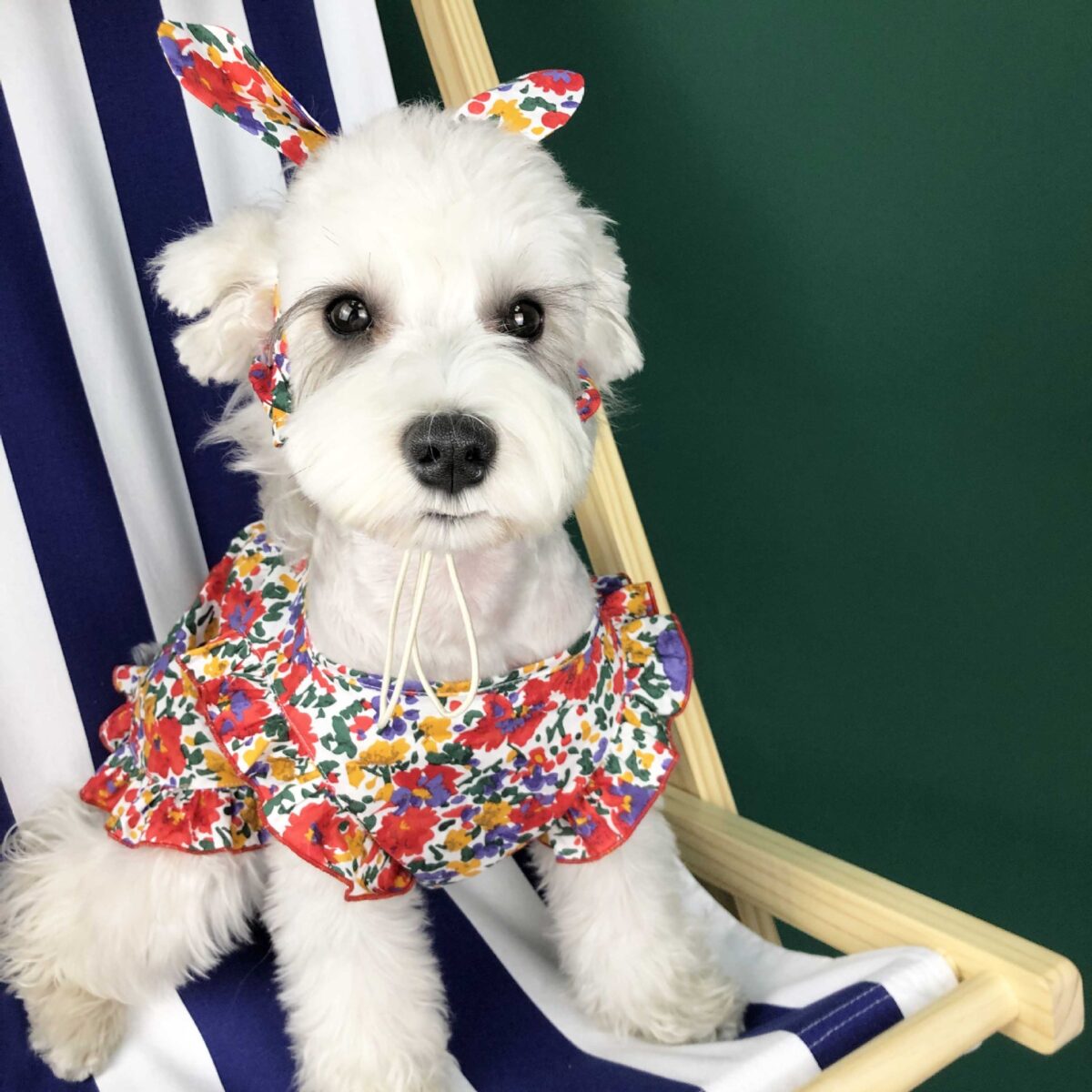 Dog Clothes Summer Thin Small Dog Dress Pet Clothes - Image 1