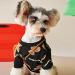 Dog Clothes Autumn New Bear Cotton Sweater - Image 2