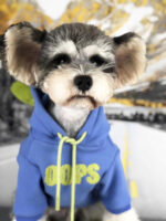 VIP Cat Plus Velvet Pet Sweater - Image 5