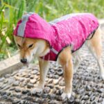 Pet Raincoat Is Waterproof And Easy To Put On And Take Off - Image 4