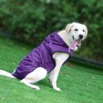 Pet Raincoat Is Waterproof And Easy To Put On And Take Off - Image 2