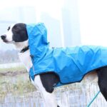 Pet Raincoat Is Waterproof And Easy To Put On And Take Off - Image 5