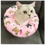 Waterproof Pet Sterilization, Bite, Lick, And Scratch-proof Headgear - Image 3