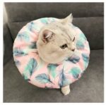 Waterproof Pet Sterilization, Bite, Lick, And Scratch-proof Headgear - Image 8