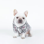 Teddy Dog Pattern Print Pet Clothes - Image 4