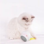 LED Luminous Automatic Funny Cat Rolling Ball - Image 5