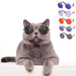 Cat Cute Sunglasses Dog Teddy Sunglasses - Image 2