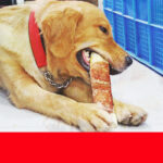 Dog teeth cleaning bones - Image 5