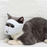 Anti-Bite And Anti-Messy Drip Medicine Breathable Cat Mask - Image 4
