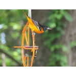 Oriole Bird Feeder Orange Fruit Outdoor Garden Metal Hanging Drinking Grape Jelly Container Farm Hummingbird Automatic Portable - Image 4