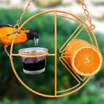Oriole Bird Feeder Orange Fruit Outdoor Garden Metal Hanging Drinking Grape Jelly Container Farm Hummingbird Automatic Portable - Image 2