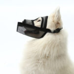 Breathable Mesh Mask That can Bite Bark and Chew Dogs - Image 2