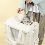 Pet Trolley Double-deck Bus Luggage Cat Bag Portable - Image 3