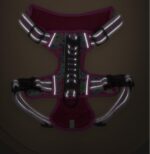 Small Medium And Large Dog Pet Leash Chest Harness - Image 7