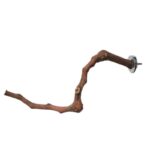 Add a stand pole to the cage for parrot birds - Image 6