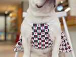 Bichon Chessboard Spring And Summer Pet Clothes - Image 3