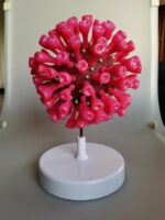 Novel Coronavirus Model Home Furnishing Research Display - Image 3