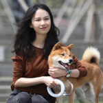 Pet Retractable Traction Rope Upgrade Type Dog Walking Leash Dog Chain - Image 3