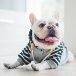 Dog clothes hooded - Image 4