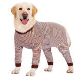 Dog Clothes Thin Four-legged Golden Retriever Labrador