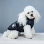 Pet Clothes Waterproof And Warm - Image 4
